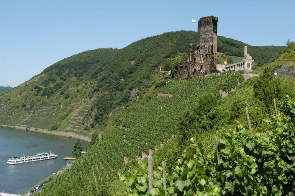 Ferienhaus Erich Bremm Mit Moselblick Neef Exterior foto